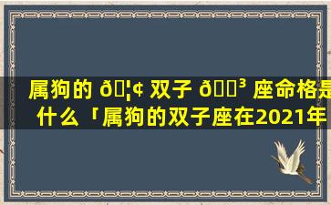 属狗的 🦢 双子 🐳 座命格是什么「属狗的双子座在2021年的运程」